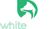white dwarf logo